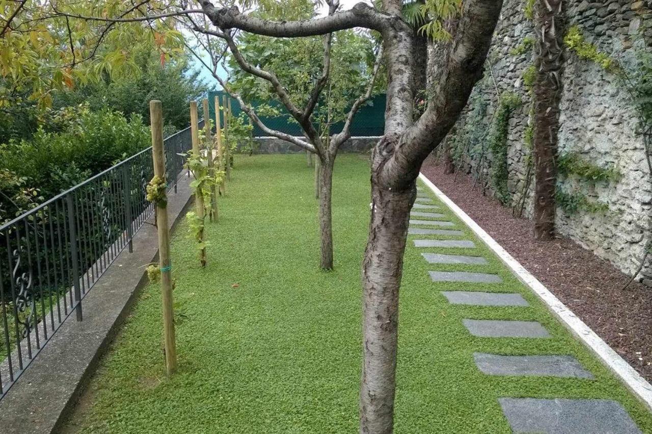 Domus Cusiana Complesso Vista Lago E Piscina Miasino 외부 사진